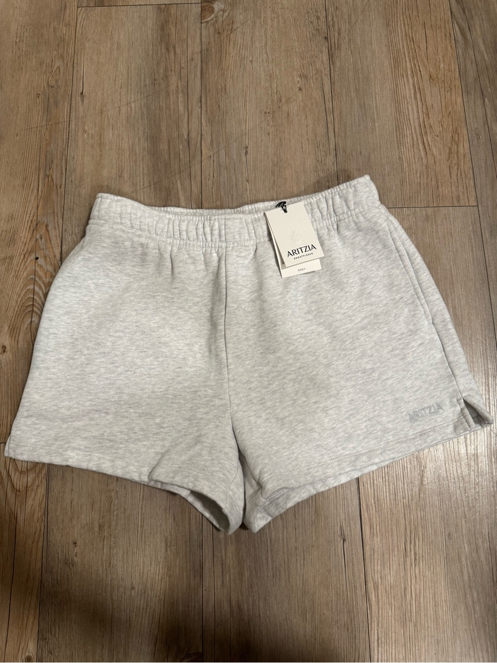 Aritzia Mega Hi Mini Shorts